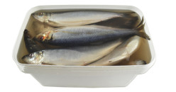 Сельдь в солёном рассоле, ведро (чистый вес 7,5 кг) Mooijer