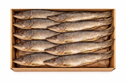 ŠTIKA sušená ryba 30cm