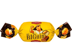 Mr. BIGuin ABK