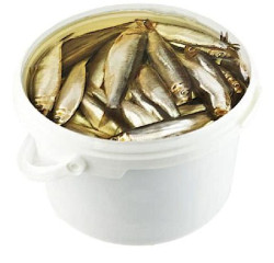 Шпроты в маринаде около 200г