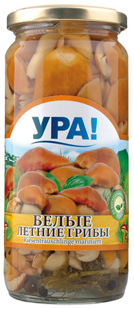 деталь Bílé letní houby Ura 270g