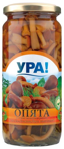 деталь Nakládana václavka s česnekem URA 270g