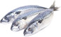 предварительный просмотр Makrela s hlavou cca 400g
